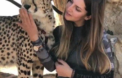 mejor,amigo,chica,guepardo