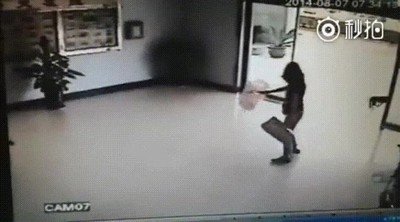 Enlace a Probablamente estos perros sean hermanos