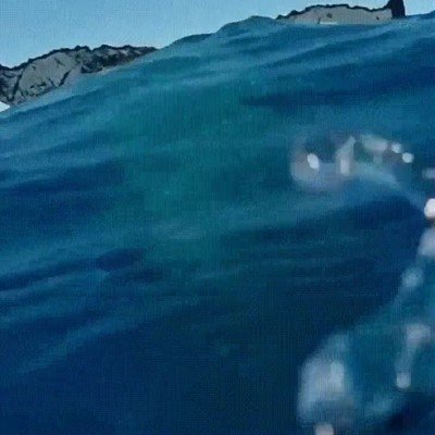 Enlace a Ballena.exe ha dejado de funcionar