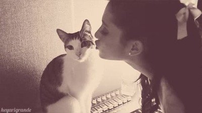 pareja,enfadada,beso,gato