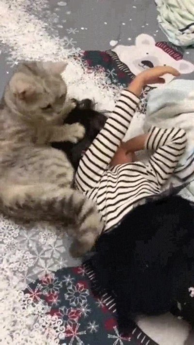 Enlace a El significado de amor verdadero