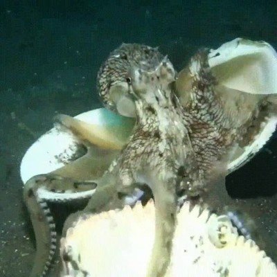 Enlace a Cuando conozco a alguien pero tengo miedo a que me hagan daño