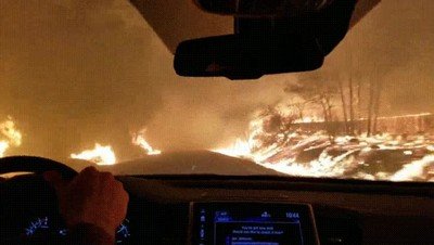 escapar,incendio,calor,terror,infierno