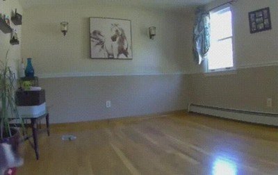 due&ntilde;os,muebles,sitio,dormido