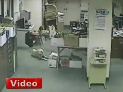 animales,enterar,terremotos