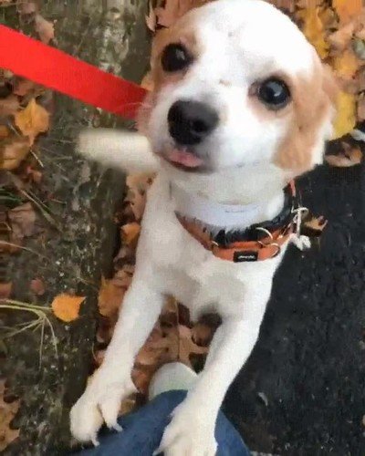 quedar,persona,contenta