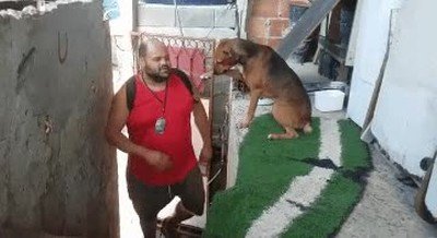 perro,mejor,amigo,hombre,saludo,abrazo