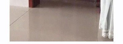 gato,imposible,trollear,puerta