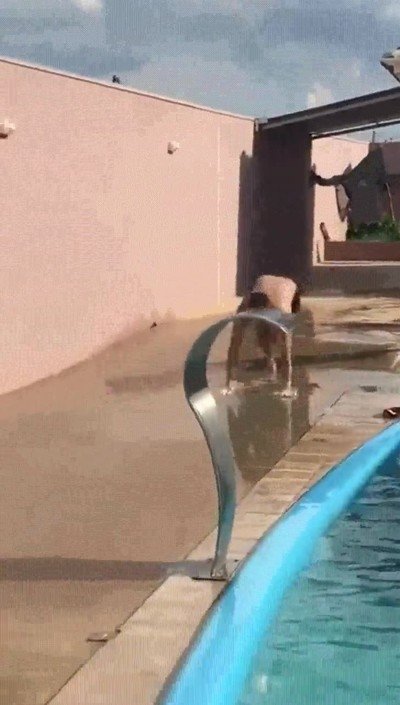 accidente,coche,piscina