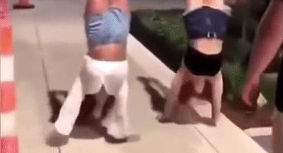 carrera,pino,inesperado,tortazo