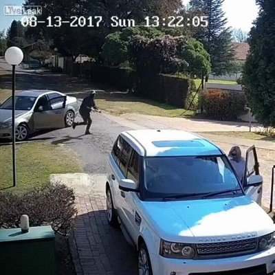 buenos,reflejos,robar