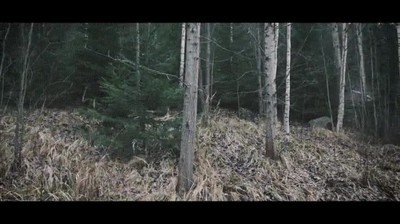 Enlace a ¿A cuántos de estos hombrs camuflados habías visto? Se sincero 