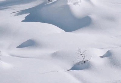Después de ver esto me dan ganas de salir a esquiar con los amigos salir,esquiar,amigos,nieve