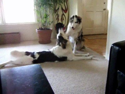 Enlace a Un buen chico diciéndole a un buen chico que ha sido un buen chico