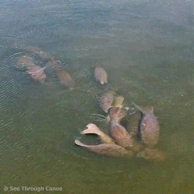 abrir,paquete,chicles,clase