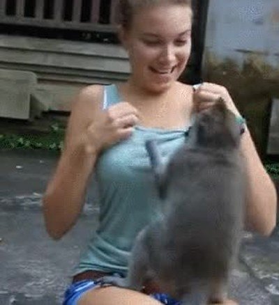 monos,demasiado,salidos,necesitar ba&ntilde;o,agua