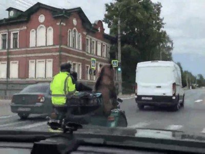 t&iacute;pico,pasajero,sidecar