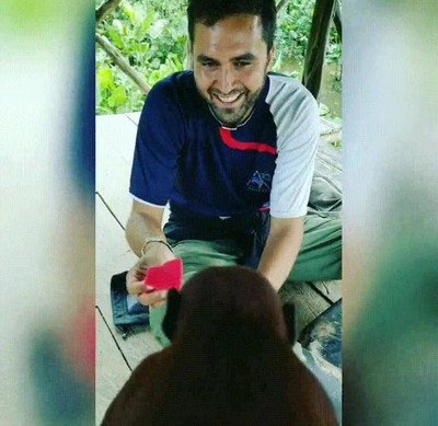 animales,reaccion,truco,magia