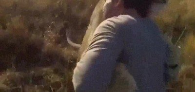 reacci&oacute;n,leon,cuidador,humano