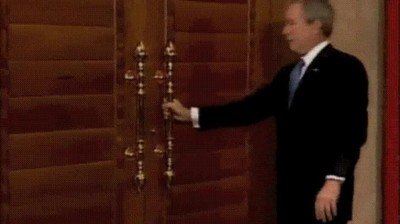 bush,gran,c&oacute;mico,puerta