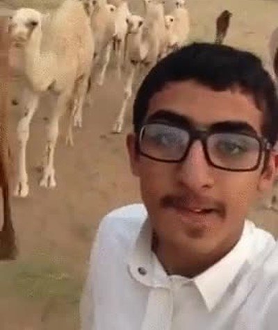 animales,en contra,youtubers