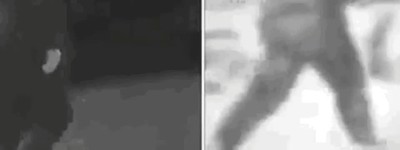 Enlace a El misterio del yeti finalmente ha sido resuelto