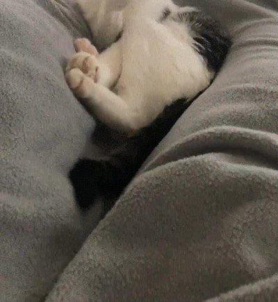 porfa,cinco,minutos,mas