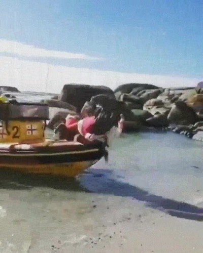 santa,confianza,ni&ntilde;os