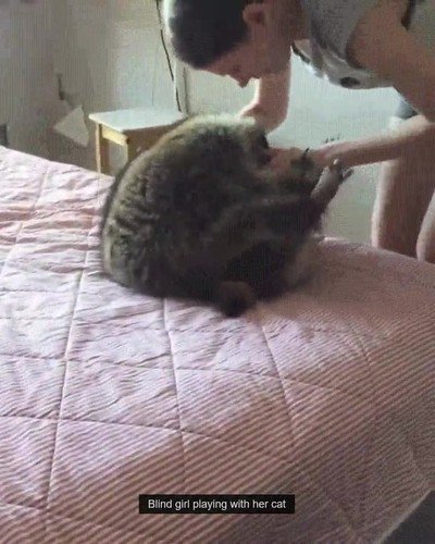 chica,ciega,jugar,gato