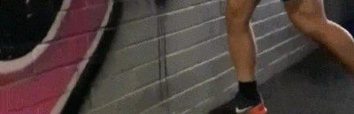 Enlace a Perros que han aprendido a hacer parkour y que confían en sus dueños