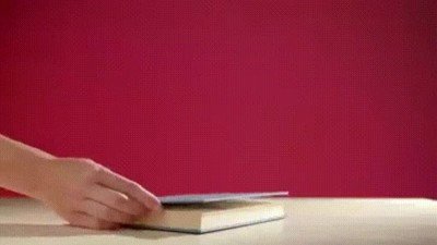 susto,libro,mariposa