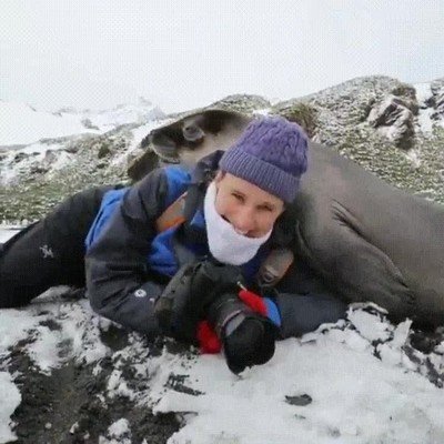 animales,amigos,fotografis