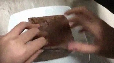 pastel,gato,pata,fail