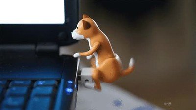 tiempo,pedir,navidad,perro