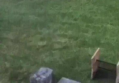 ultimas,modas,humanos,baile