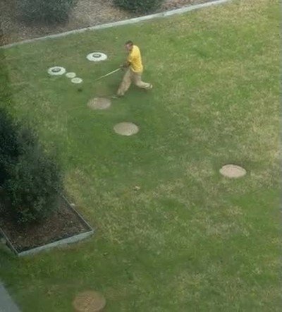 pasada,gente,disfrutar,trabajo,jardinero