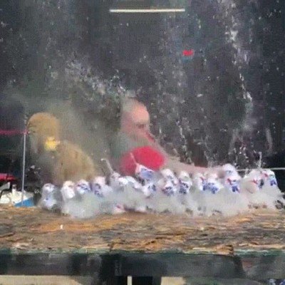 Enlace a Camareros con bastante mala leche