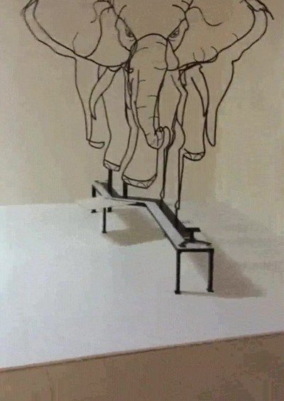 elefante,jirafa,efecto optico