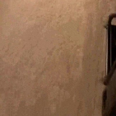 movimiento,cola,minuto