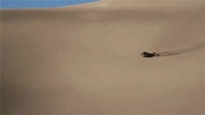 tirar,tabla,desierto,peligro