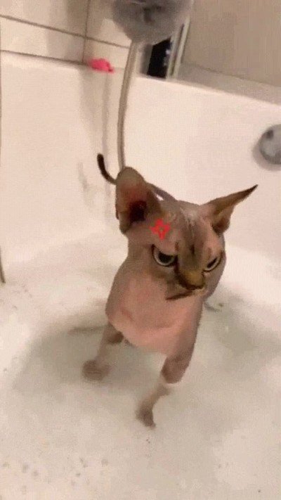 Enlace a Con los filtros de las apps del móvil se pueden lograr cosas graciosisimas 