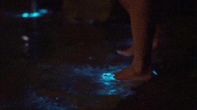 Enlace a Lo que ves cuando has tomado demasiadas cosas y quieres volver a casa