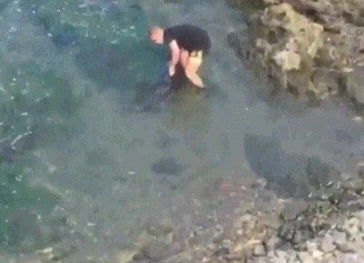 Enlace a Un hombre rescatando a un delfín en Nueva Zelanda