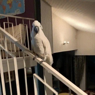 hola,casual,resbalar