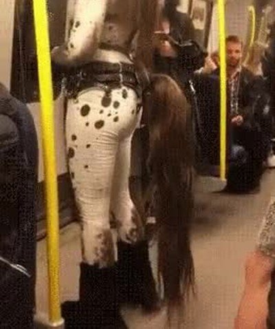 vagon,tren,random,caballos