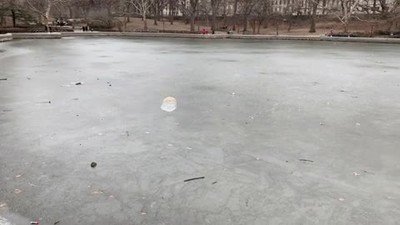 Enlace a Una burbuja deslizando sobre hielo