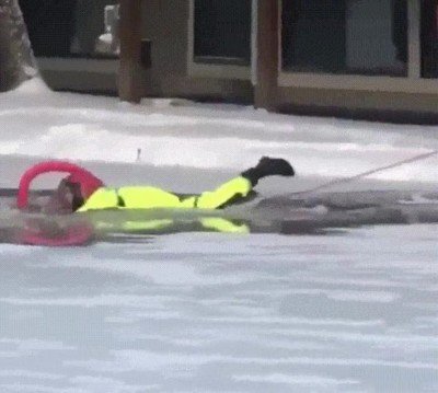 rescate,perro,atrapado,hielo