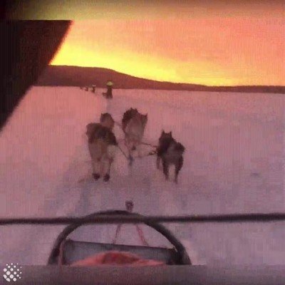 paisaje,puesta,de sol,trineo