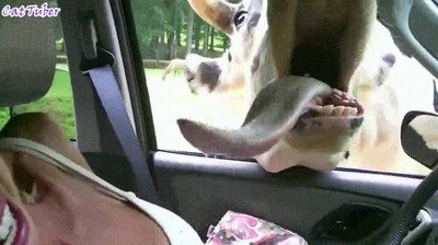 recordar,primer,beso,lengua