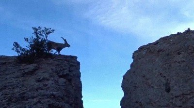 increible,facilidad,saltar